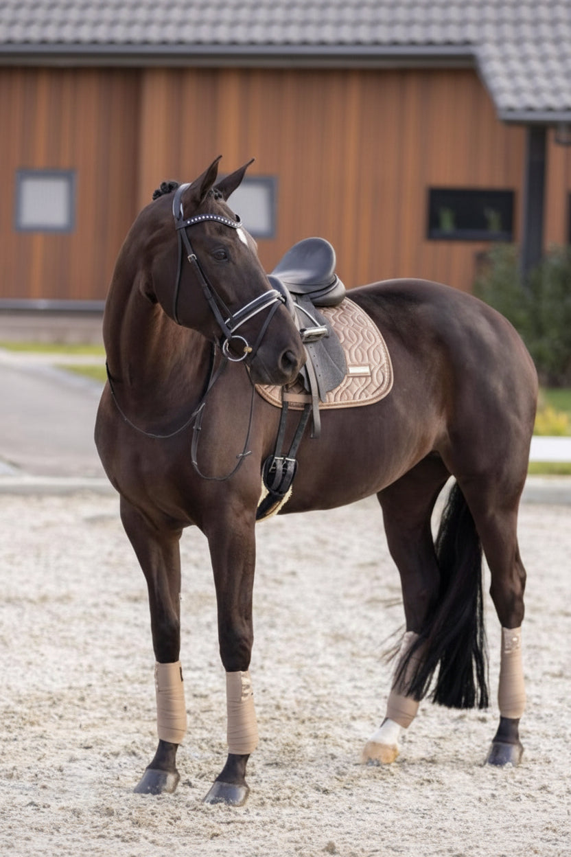 Imperial Riding präsentiert die Dressurschabracke IRHSKY in der Farbe Cappuccino Braun mit der Artikelnummer ZT78322001-8043. Diese Schabracke kombiniert Funktionalität mit einem stilvollen Design und eignet sich perfekt für Dressuraktivitäten. Für weitere Informationen und die Möglichkeit zum Kauf besuchen Sie bitte die Website www.Hotti24.de