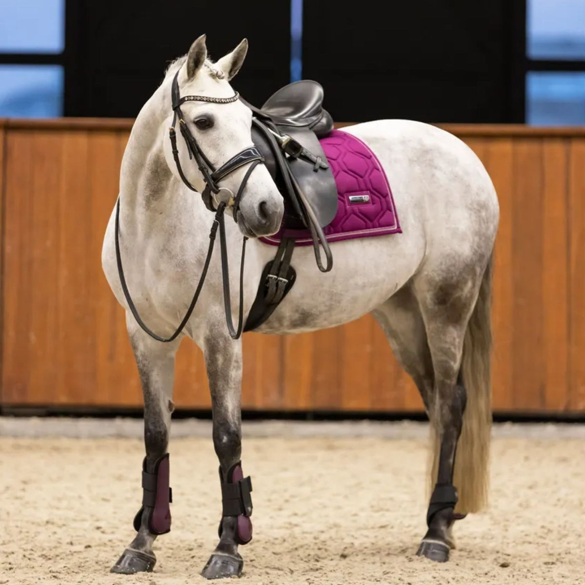 imperial riding gamaschen lovely rot be10322001-3156