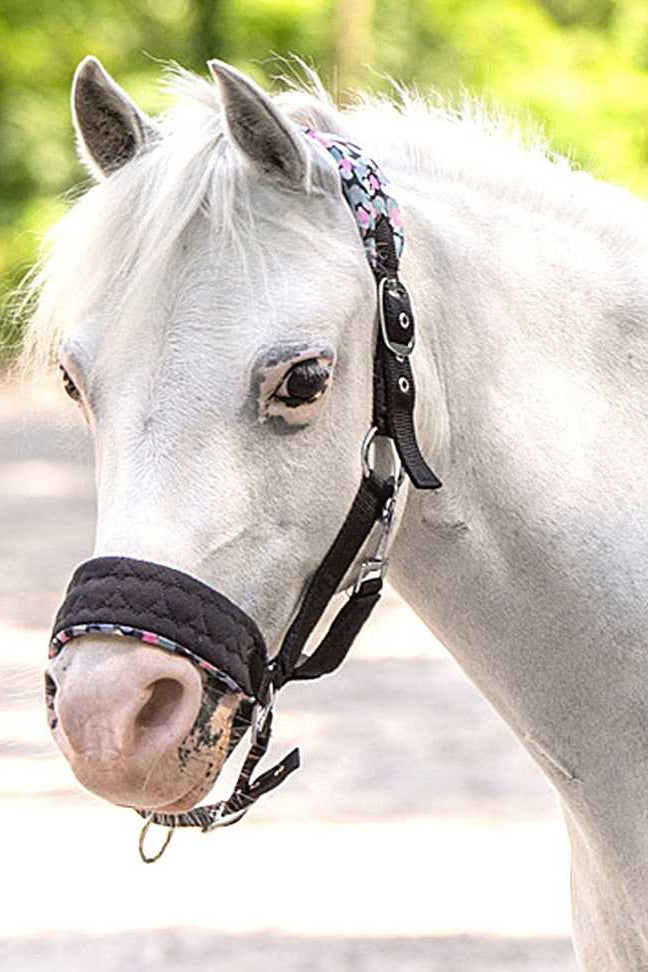 pferde halfter herz schwarz stormy imperial-riding