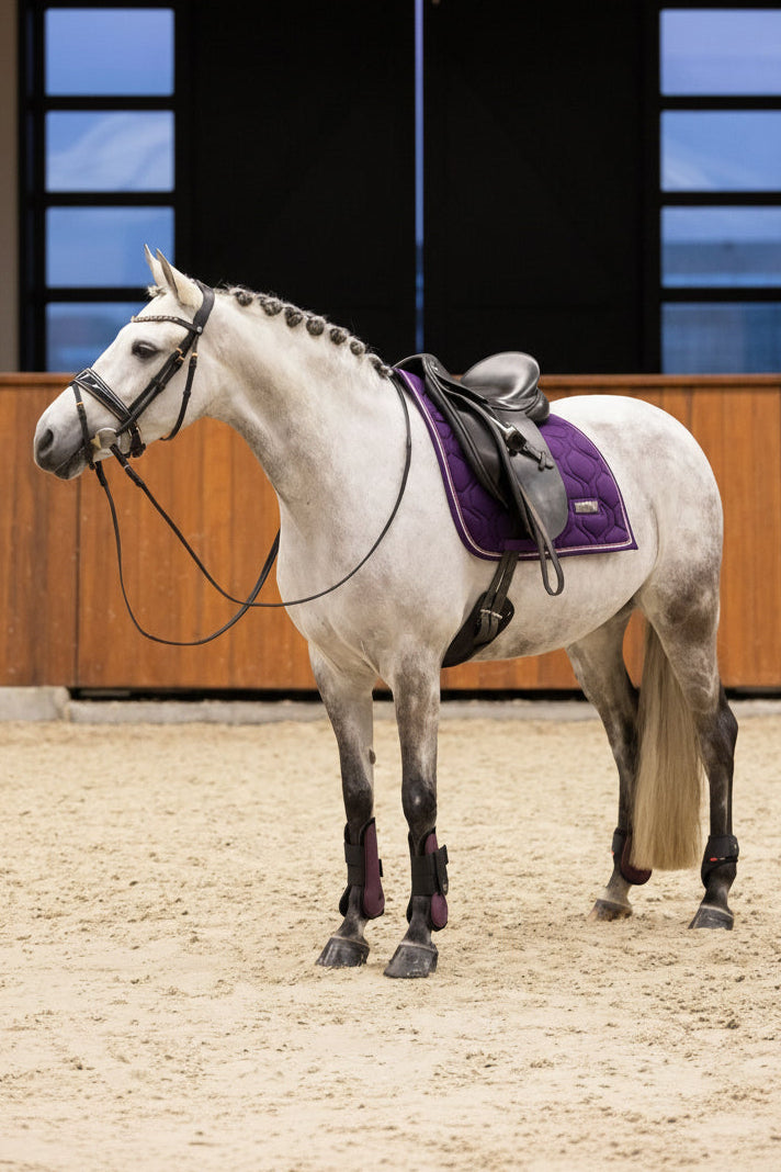 imperial-riding-vielseitigkeitsschabracke-irhlovely-pearl-ZT73322000-4060