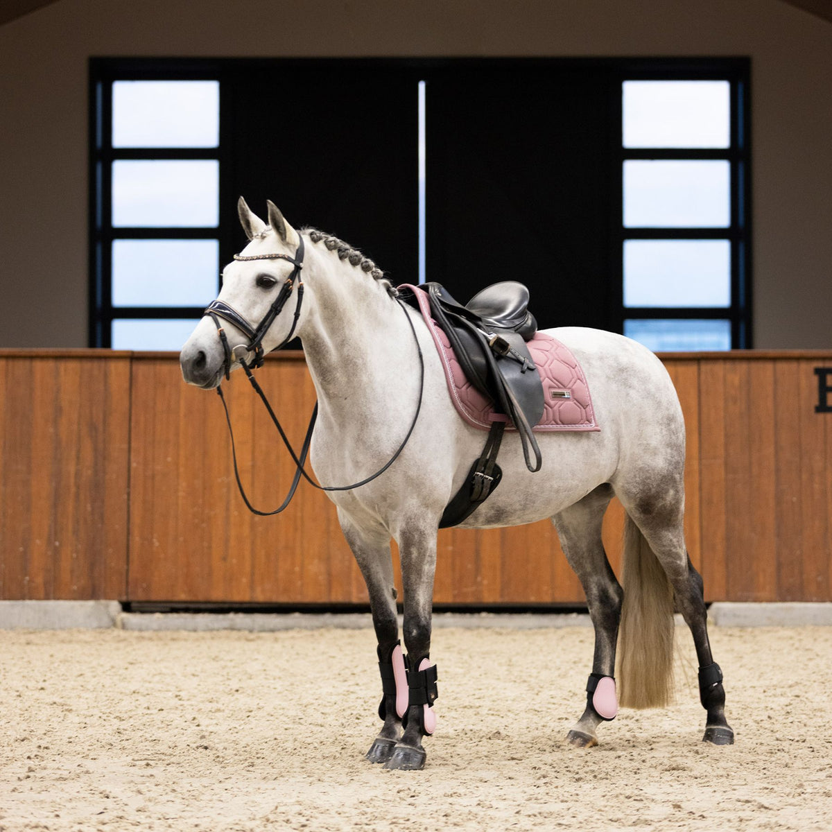 IMPERIAL RIDING »Vielseitigkeitsschabracke IRHLovely Pearl Pink