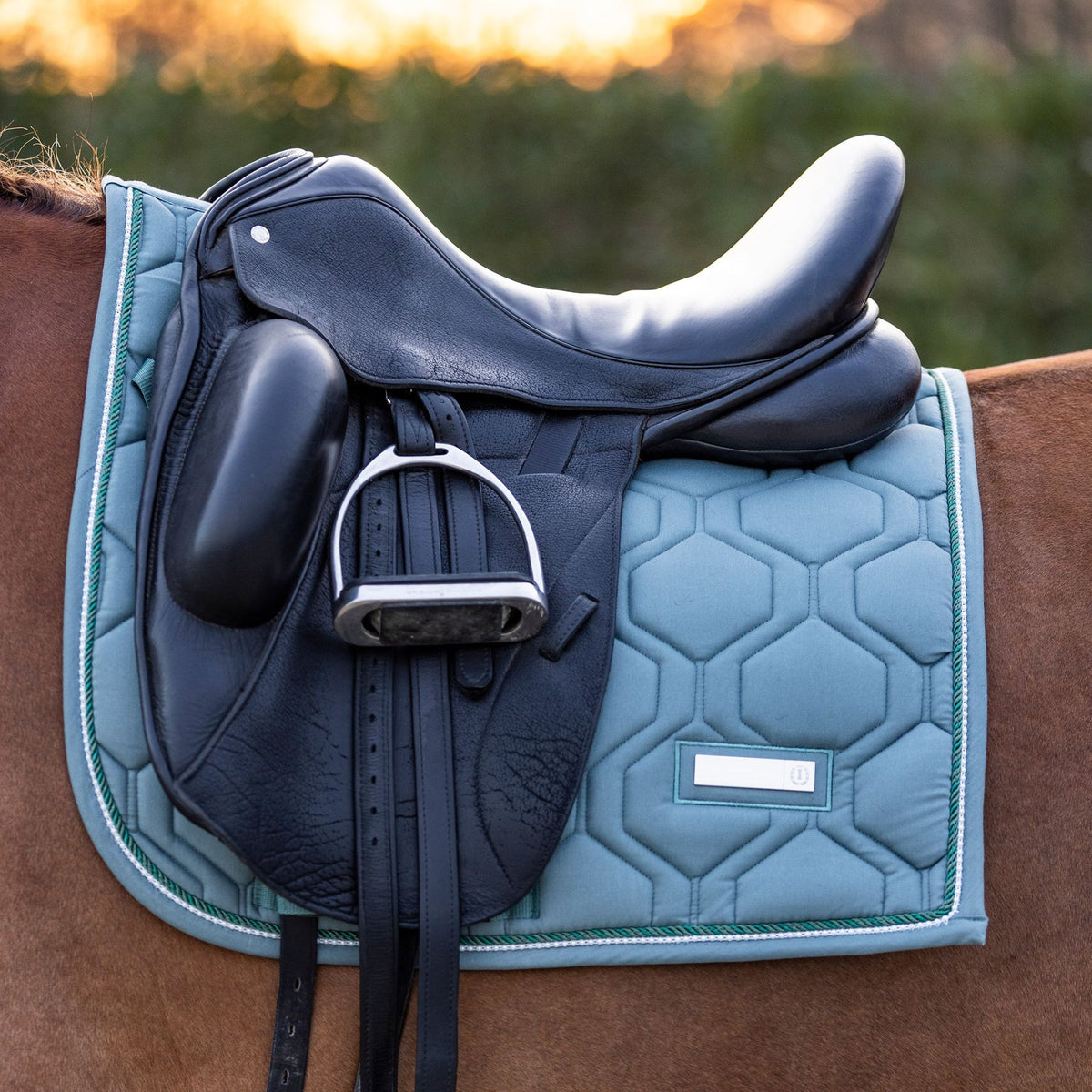 IMPERIAL RIDING »Vielseitigkeitsschabracke IRHLovely Pearl Green